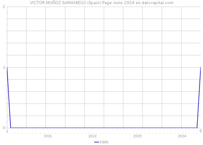 VICTOR MUÑOZ SAMANIEGO (Spain) Page visits 2024 