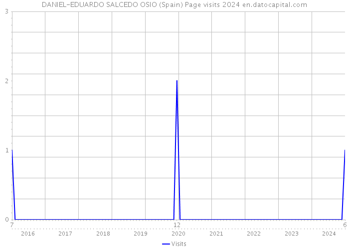 DANIEL-EDUARDO SALCEDO OSIO (Spain) Page visits 2024 