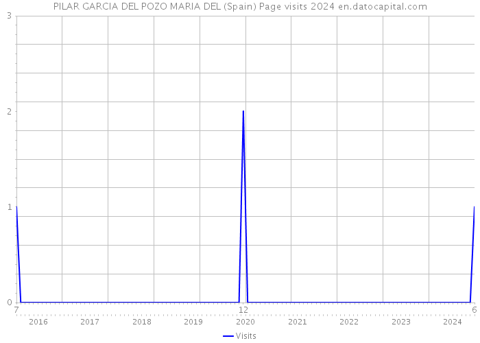 PILAR GARCIA DEL POZO MARIA DEL (Spain) Page visits 2024 