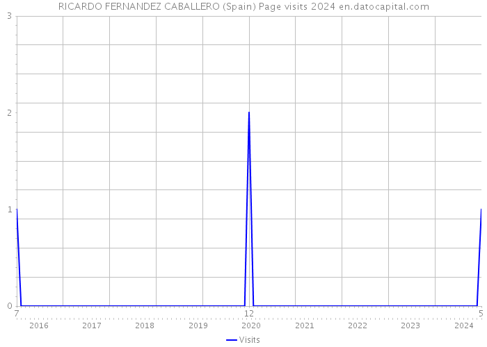 RICARDO FERNANDEZ CABALLERO (Spain) Page visits 2024 