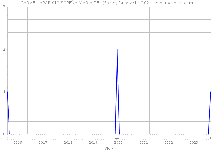 CARMEN APARICIO SOPEÑA MARIA DEL (Spain) Page visits 2024 
