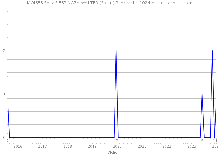 MOISES SALAS ESPINOZA WALTER (Spain) Page visits 2024 