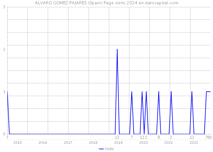 ALVARO GOMEZ PAJARES (Spain) Page visits 2024 