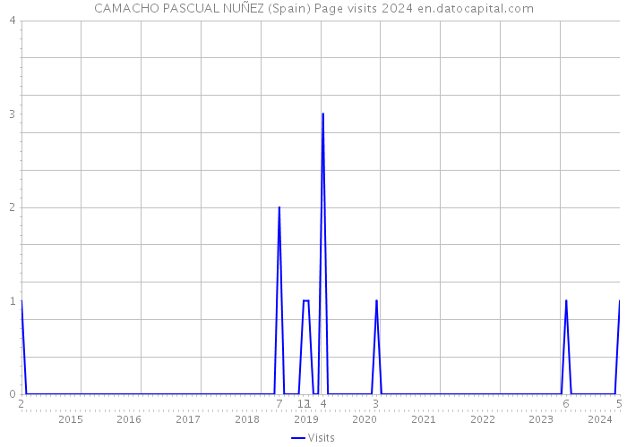 CAMACHO PASCUAL NUÑEZ (Spain) Page visits 2024 