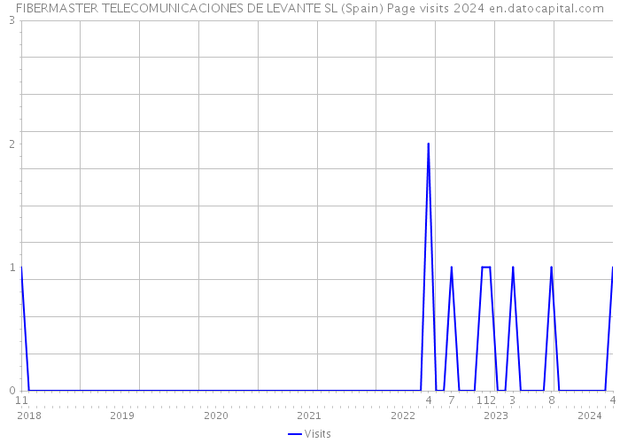 FIBERMASTER TELECOMUNICACIONES DE LEVANTE SL (Spain) Page visits 2024 