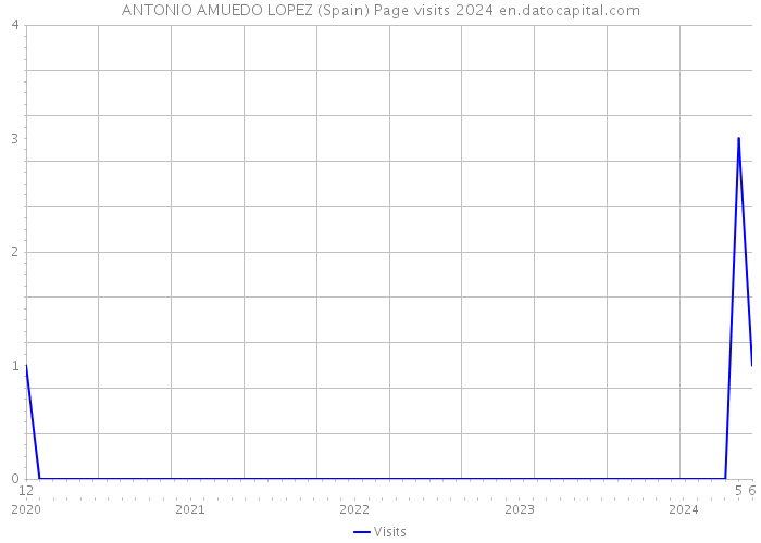 ANTONIO AMUEDO LOPEZ (Spain) Page visits 2024 
