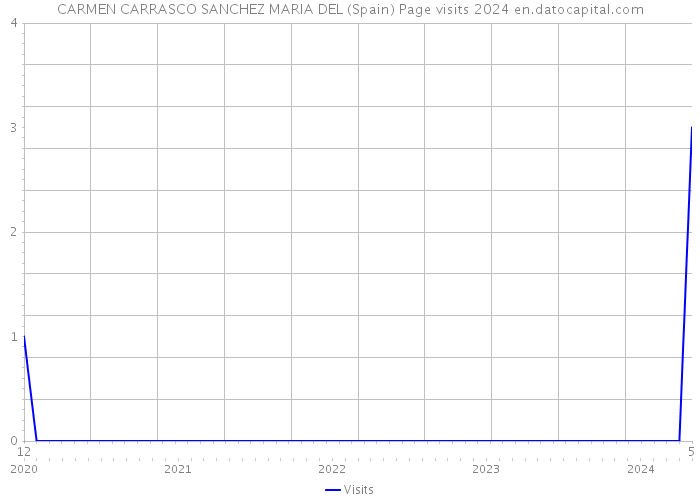 CARMEN CARRASCO SANCHEZ MARIA DEL (Spain) Page visits 2024 
