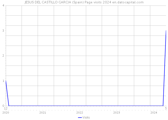 JESUS DEL CASTILLO GARCIA (Spain) Page visits 2024 