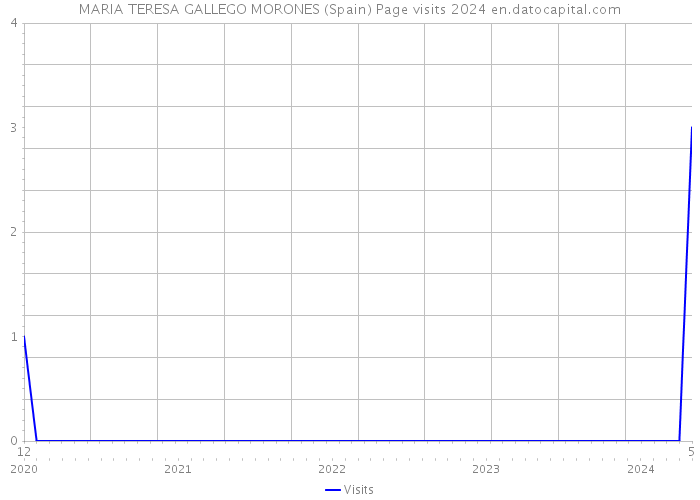 MARIA TERESA GALLEGO MORONES (Spain) Page visits 2024 