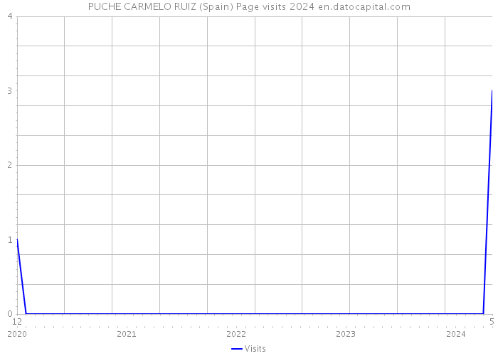 PUCHE CARMELO RUIZ (Spain) Page visits 2024 