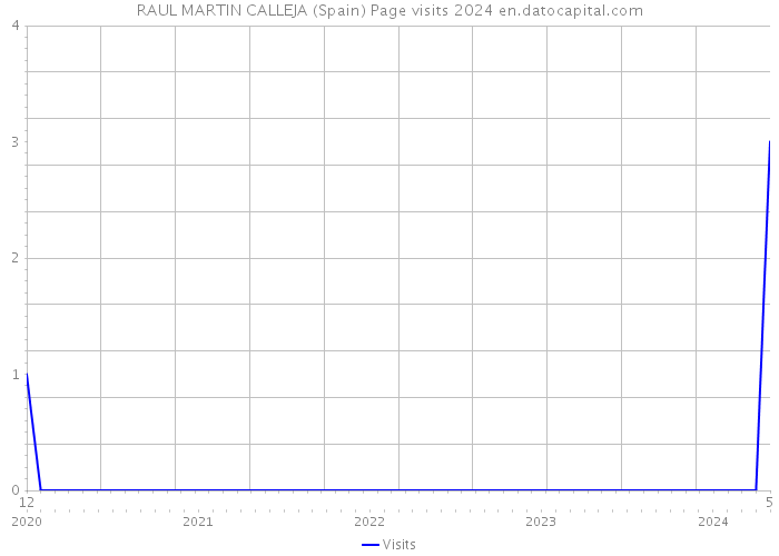 RAUL MARTIN CALLEJA (Spain) Page visits 2024 