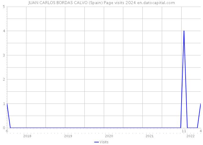 JUAN CARLOS BORDAS CALVO (Spain) Page visits 2024 