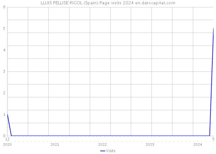 LLUIS PELLISE RIGOL (Spain) Page visits 2024 