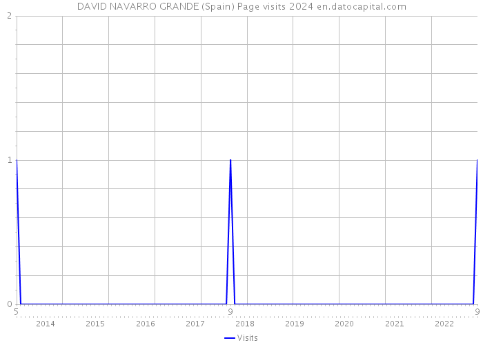 DAVID NAVARRO GRANDE (Spain) Page visits 2024 