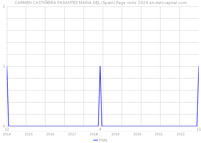 CARMEN CASTIÑEIRA PASANTES MARIA DEL (Spain) Page visits 2024 