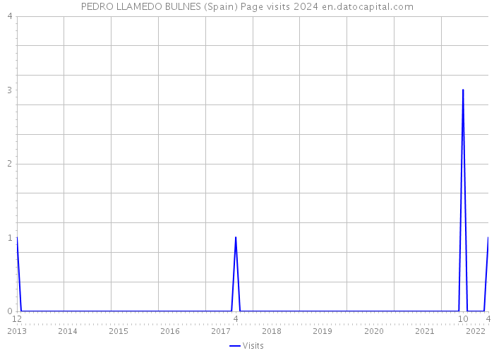 PEDRO LLAMEDO BULNES (Spain) Page visits 2024 