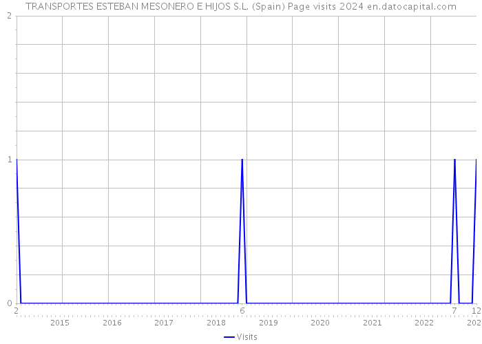 TRANSPORTES ESTEBAN MESONERO E HIJOS S.L. (Spain) Page visits 2024 