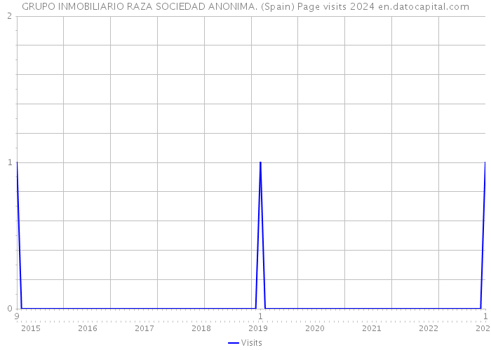 GRUPO INMOBILIARIO RAZA SOCIEDAD ANONIMA. (Spain) Page visits 2024 