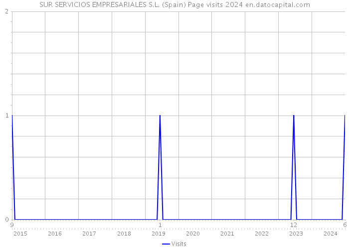 SUR SERVICIOS EMPRESARIALES S.L. (Spain) Page visits 2024 