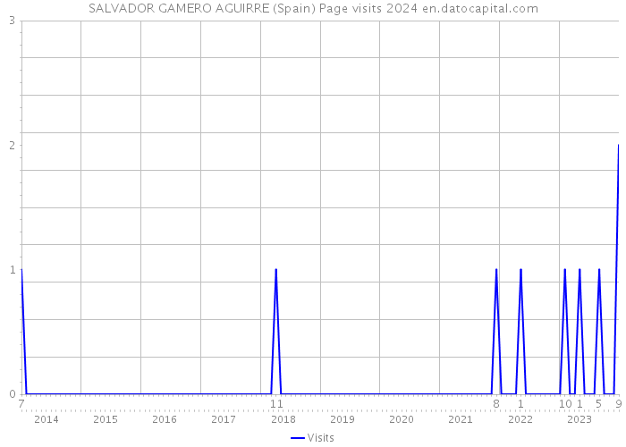 SALVADOR GAMERO AGUIRRE (Spain) Page visits 2024 