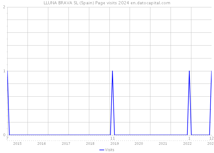 LLUNA BRAVA SL (Spain) Page visits 2024 