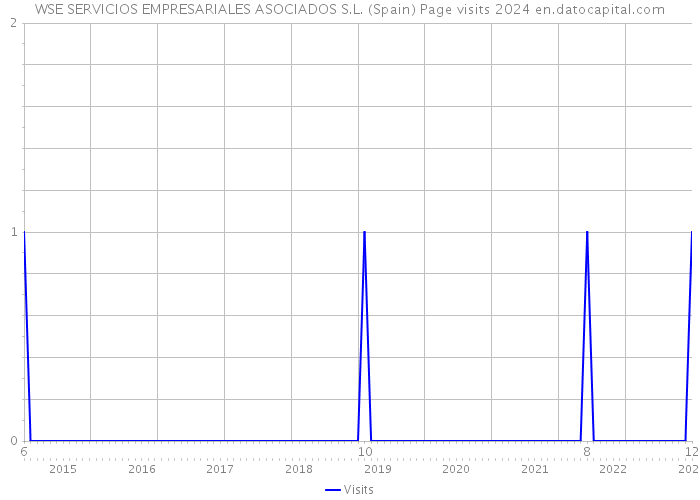 WSE SERVICIOS EMPRESARIALES ASOCIADOS S.L. (Spain) Page visits 2024 