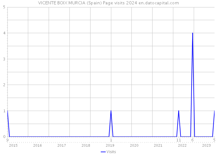 VICENTE BOIX MURCIA (Spain) Page visits 2024 