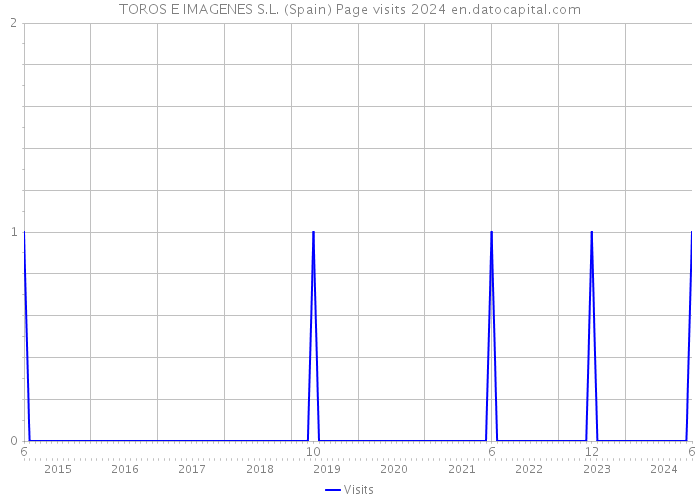 TOROS E IMAGENES S.L. (Spain) Page visits 2024 