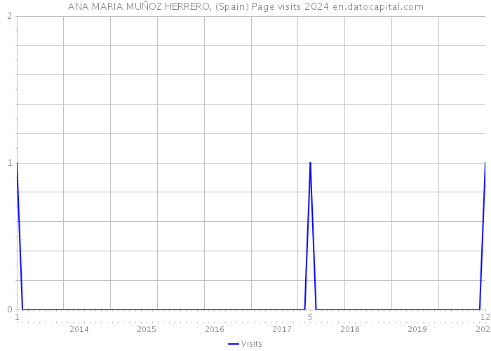 ANA MARIA MUÑOZ HERRERO, (Spain) Page visits 2024 