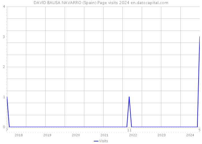 DAVID BAUSA NAVARRO (Spain) Page visits 2024 