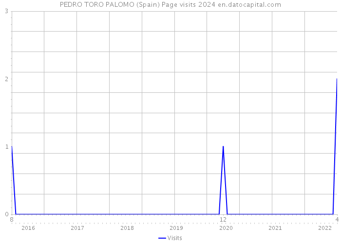 PEDRO TORO PALOMO (Spain) Page visits 2024 