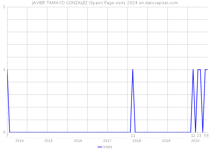 JAVIER TAMAYO GONZALEZ (Spain) Page visits 2024 