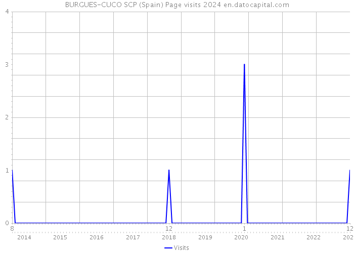 BURGUES-CUCO SCP (Spain) Page visits 2024 