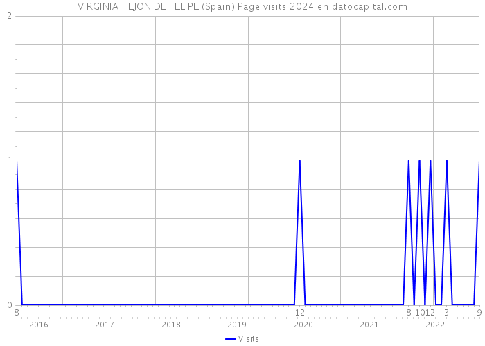 VIRGINIA TEJON DE FELIPE (Spain) Page visits 2024 
