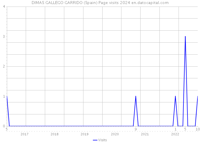 DIMAS GALLEGO GARRIDO (Spain) Page visits 2024 