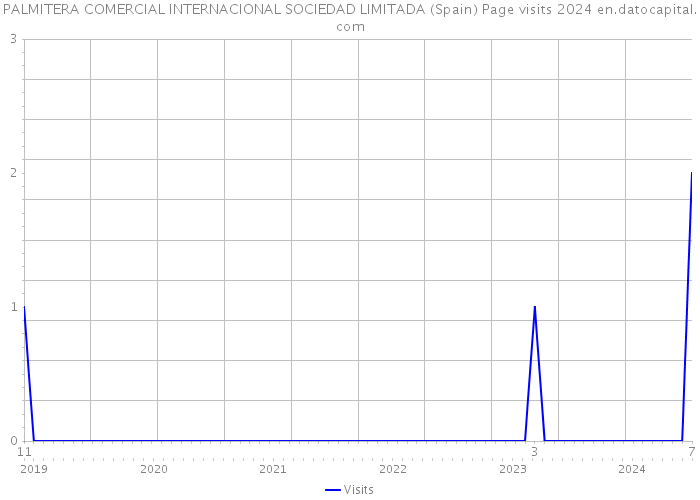 PALMITERA COMERCIAL INTERNACIONAL SOCIEDAD LIMITADA (Spain) Page visits 2024 