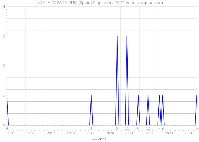 NOELIA ZAPATA RUIZ (Spain) Page visits 2024 