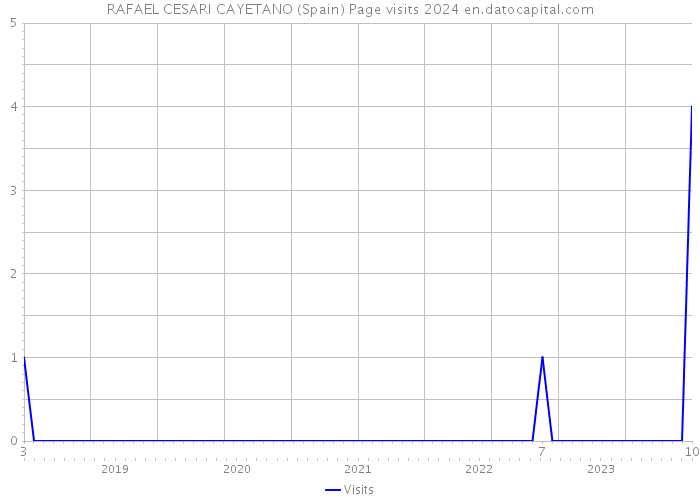 RAFAEL CESARI CAYETANO (Spain) Page visits 2024 