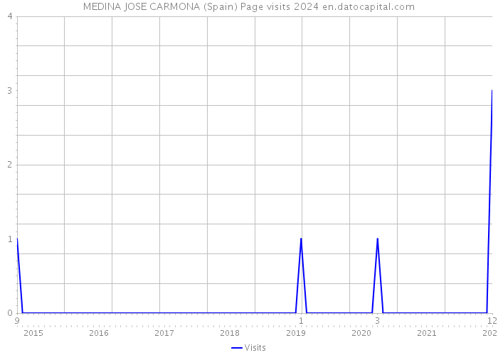 MEDINA JOSE CARMONA (Spain) Page visits 2024 