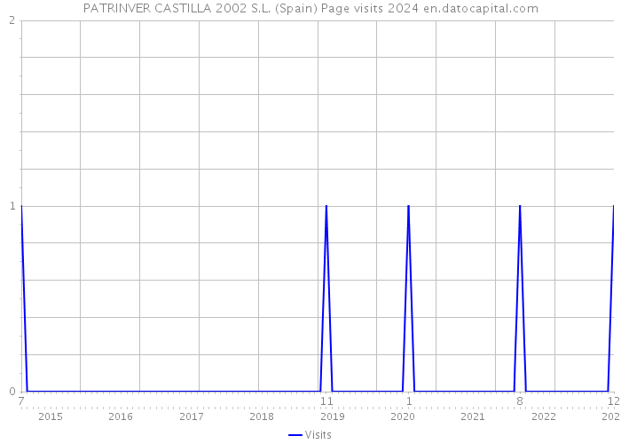 PATRINVER CASTILLA 2002 S.L. (Spain) Page visits 2024 