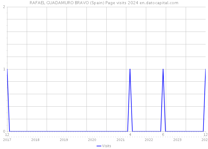 RAFAEL GUADAMURO BRAVO (Spain) Page visits 2024 
