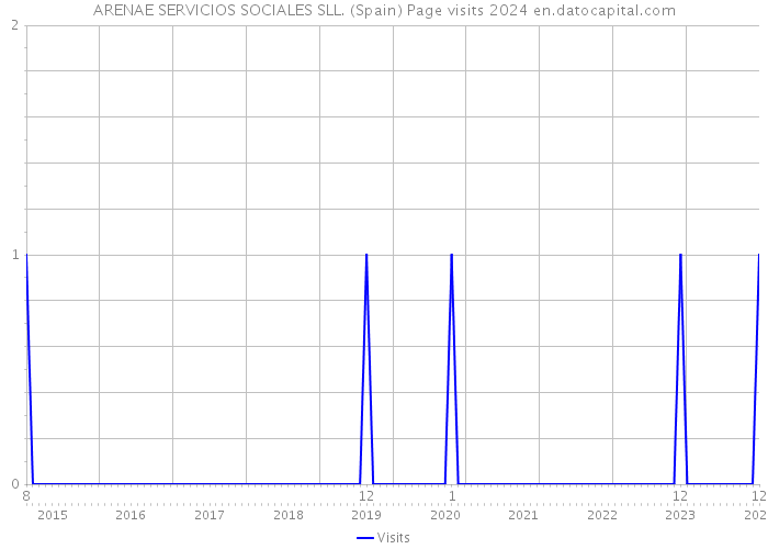 ARENAE SERVICIOS SOCIALES SLL. (Spain) Page visits 2024 