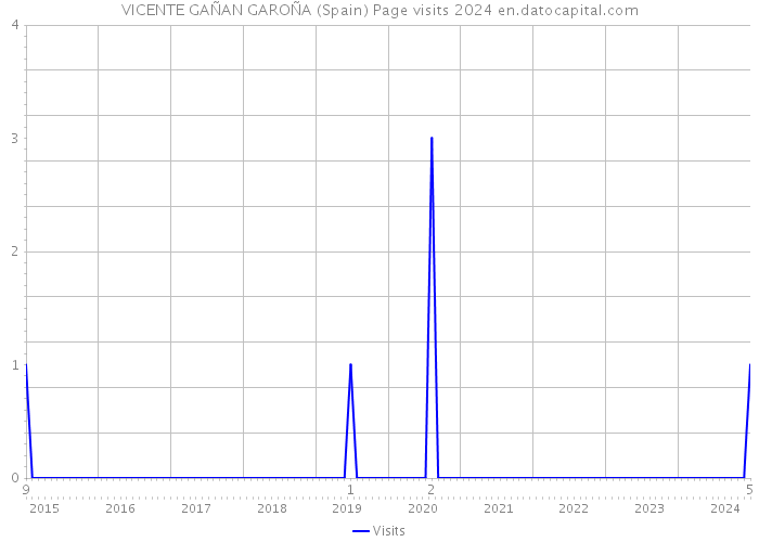 VICENTE GAÑAN GAROÑA (Spain) Page visits 2024 
