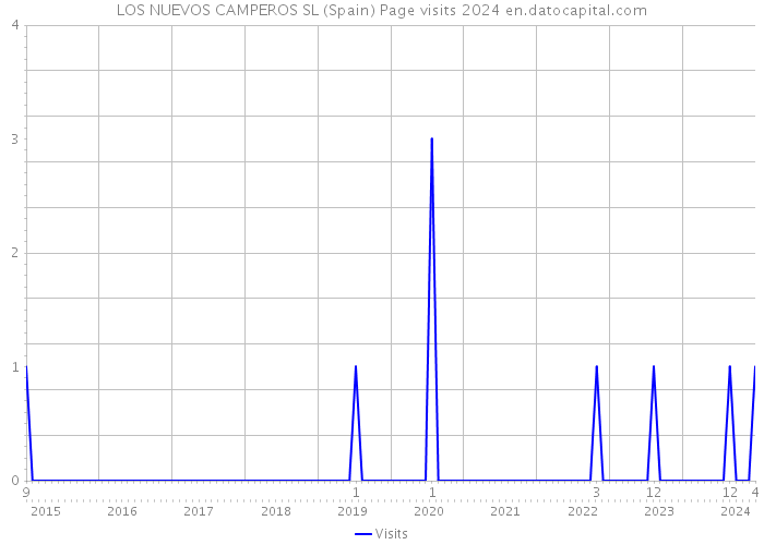 LOS NUEVOS CAMPEROS SL (Spain) Page visits 2024 