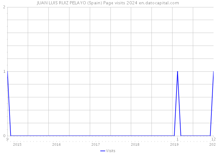 JUAN LUIS RUIZ PELAYO (Spain) Page visits 2024 