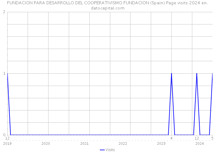 FUNDACION PARA DESARROLLO DEL COOPERATIVISMO FUNDACION (Spain) Page visits 2024 