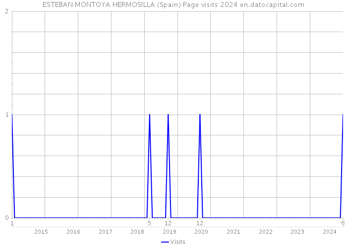 ESTEBAN MONTOYA HERMOSILLA (Spain) Page visits 2024 