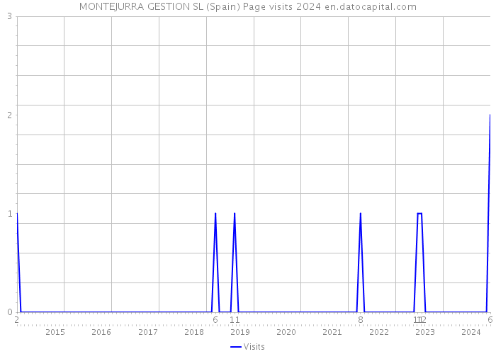 MONTEJURRA GESTION SL (Spain) Page visits 2024 
