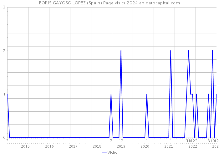 BORIS GAYOSO LOPEZ (Spain) Page visits 2024 