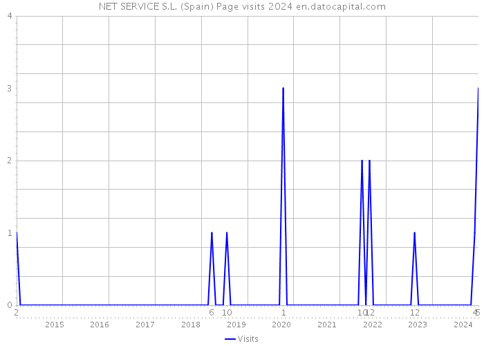 NET SERVICE S.L. (Spain) Page visits 2024 